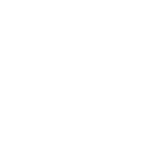CrossFit Leiden